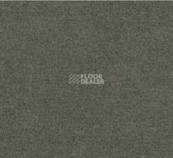 Ковровая плитка Interface Polichrome Solid 4266008 Mole фото 1 | FLOORDEALER